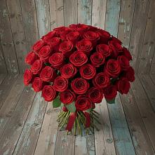 Букет 55 Красных роз Фридом #REPLACE_PRED# Зимовниках
