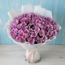 Букет цветов из:  Хризантемы в Зимовниках